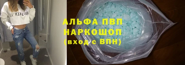 прущие грибы Нягань
