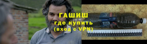 прущие грибы Нягань