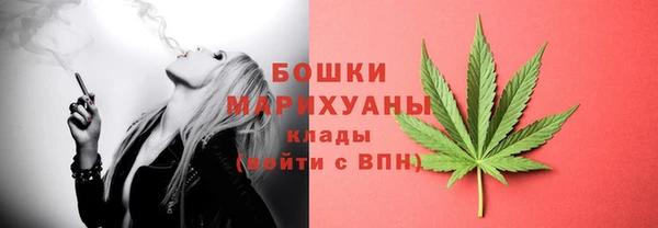 винт Няндома