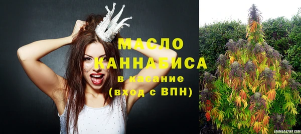 МДПВ Абаза