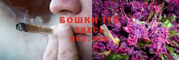 винт Няндома
