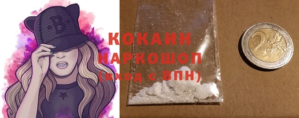 МДПВ Абаза