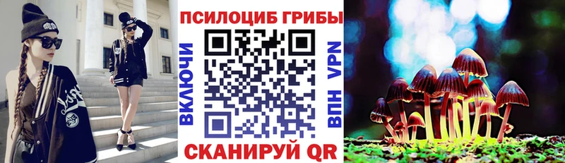 Псилоцибиновые грибы Psilocybine cubensis  Лакинск 