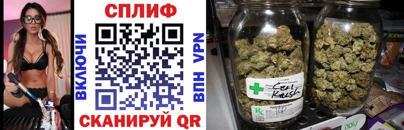 Каннабис SATIVA & INDICA  наркотики  Лакинск 